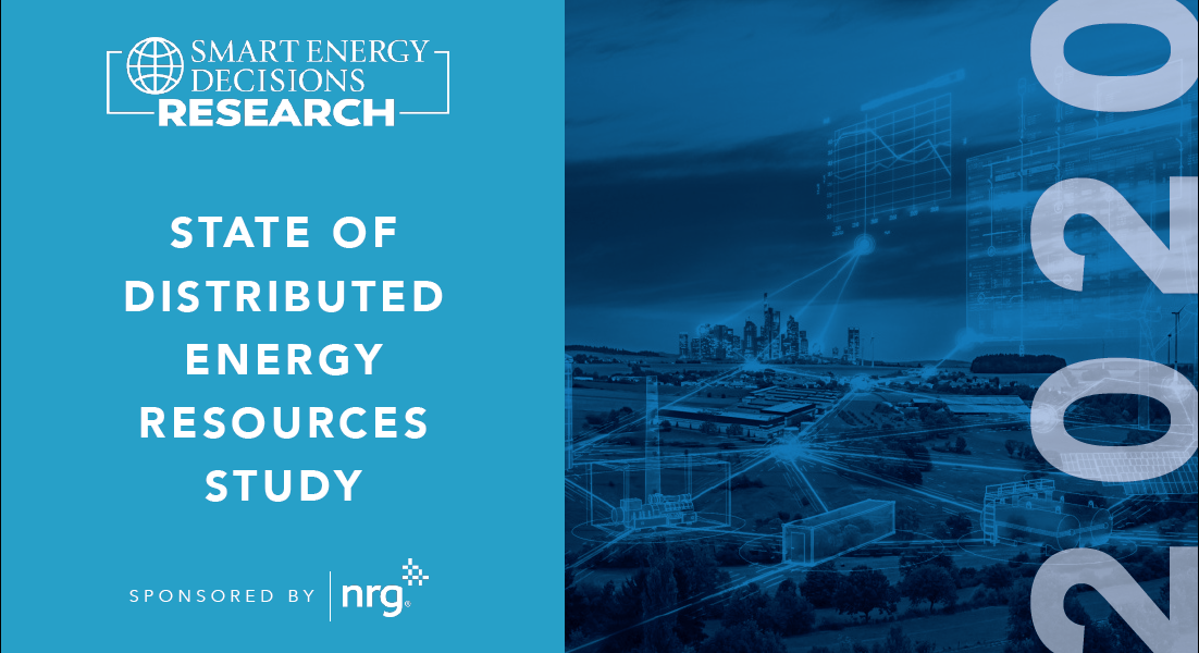 Energy Cost & Control: DER Survey Insights, Part 1
