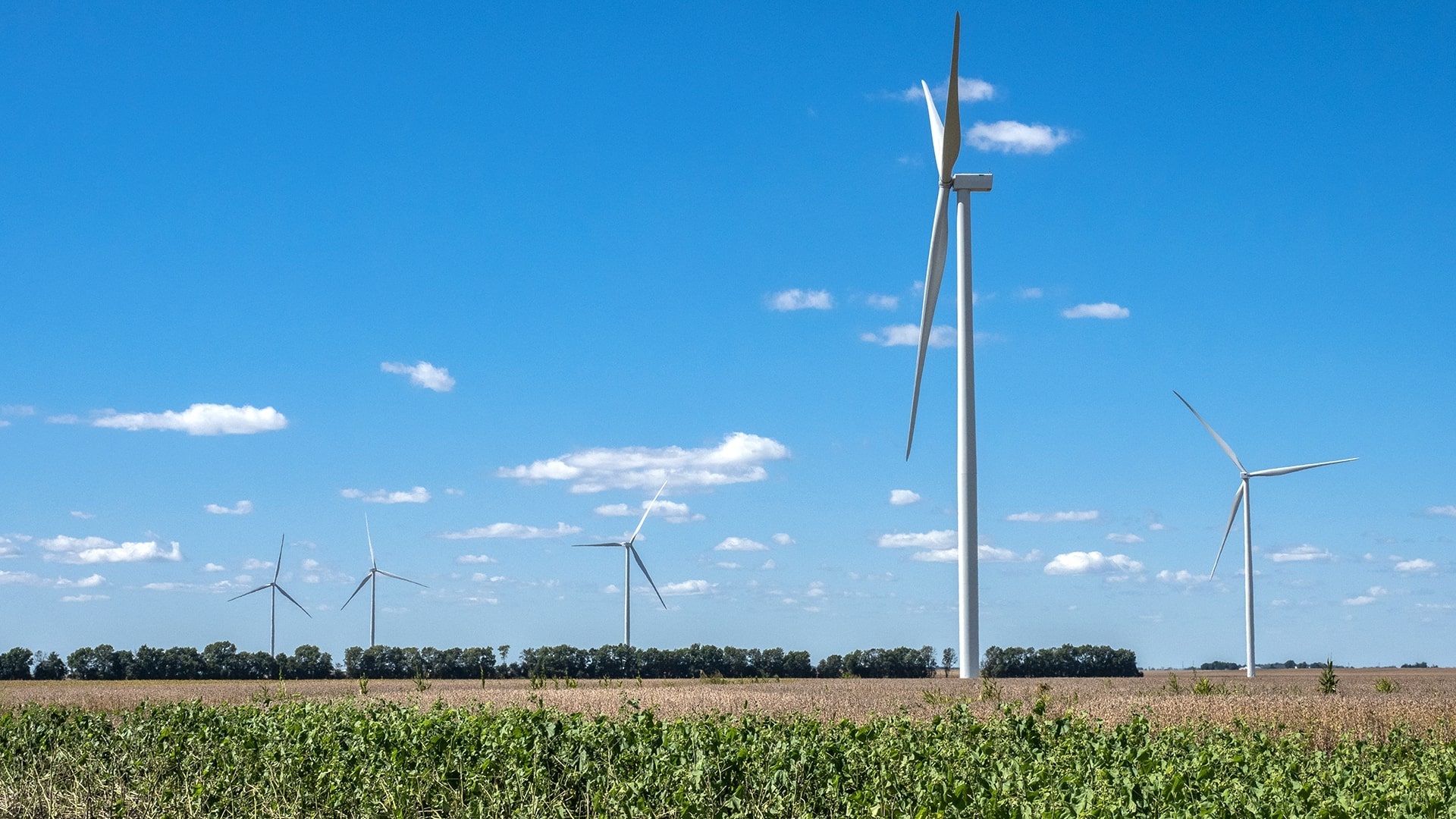 Meta and McDonald’s PPAs Facilitate Illinois Wind Farm