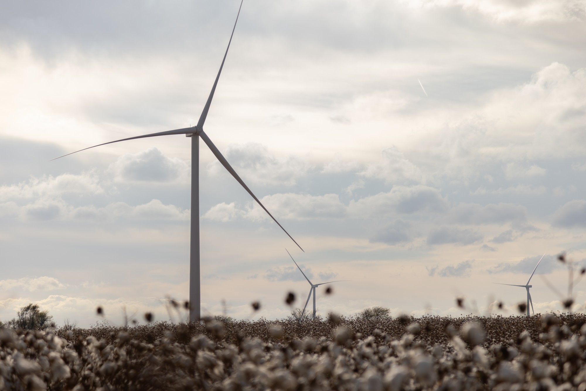 Campbell’s Signs VPPA for Share of Oklahoma Wind Project