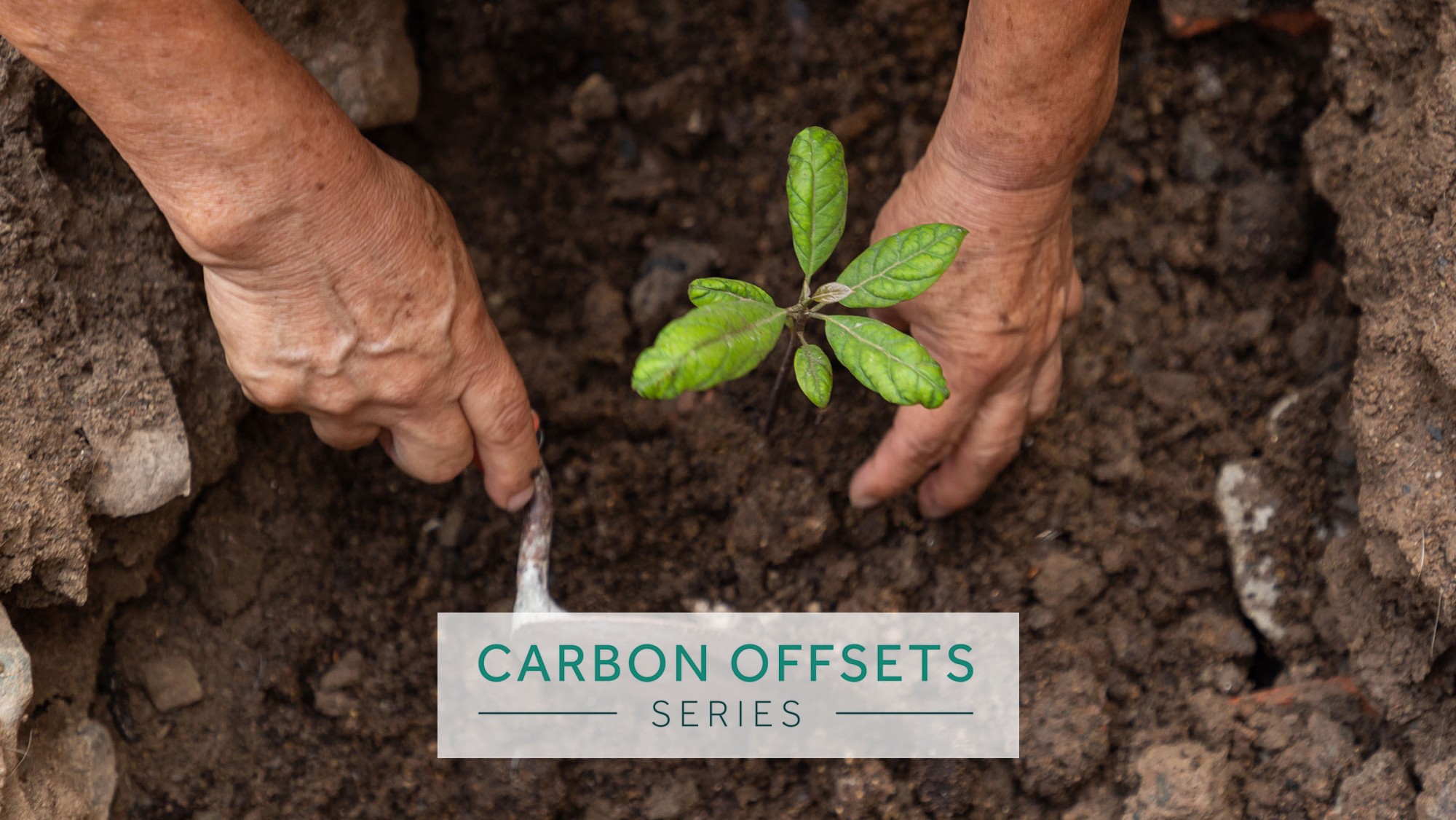 Understanding Carbon Offsets