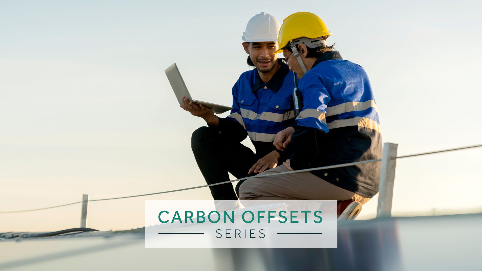 Evaluating Carbon Offsets