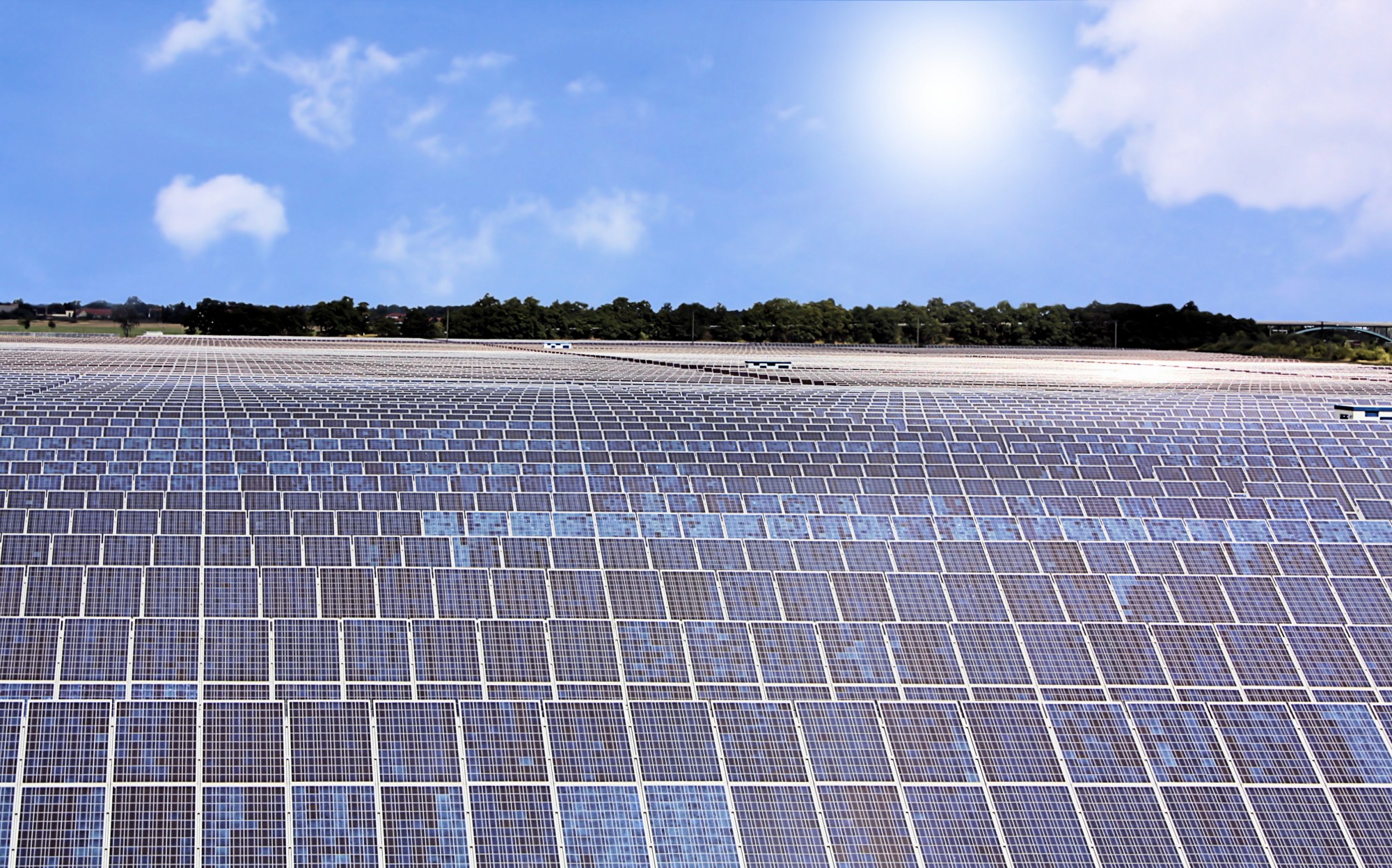Cal-Maine Foods Installs Solar Array at Arkansas Facility