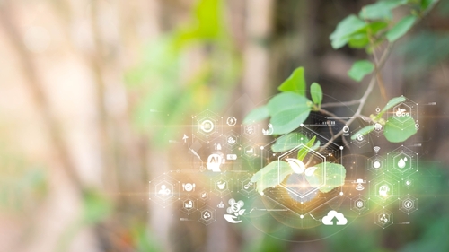 Salesforce Introduces Sustainable AI Policy Principles