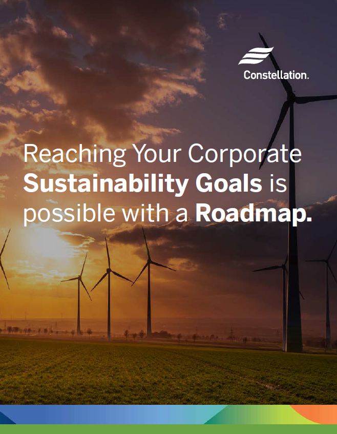 Roadmap to Corporate Sustainability Goals