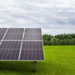 Ground-mount solar panels with forest behind