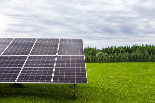Ground-mount solar panels with forest behind