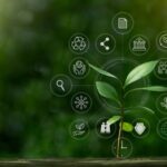 A sprouting plant is surrounded by sustainability icons
