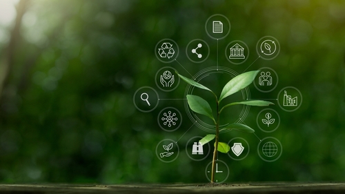 A sprouting plant is surrounded by sustainability icons